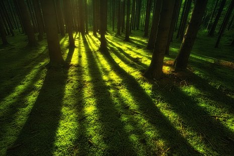 Composition and light in photography